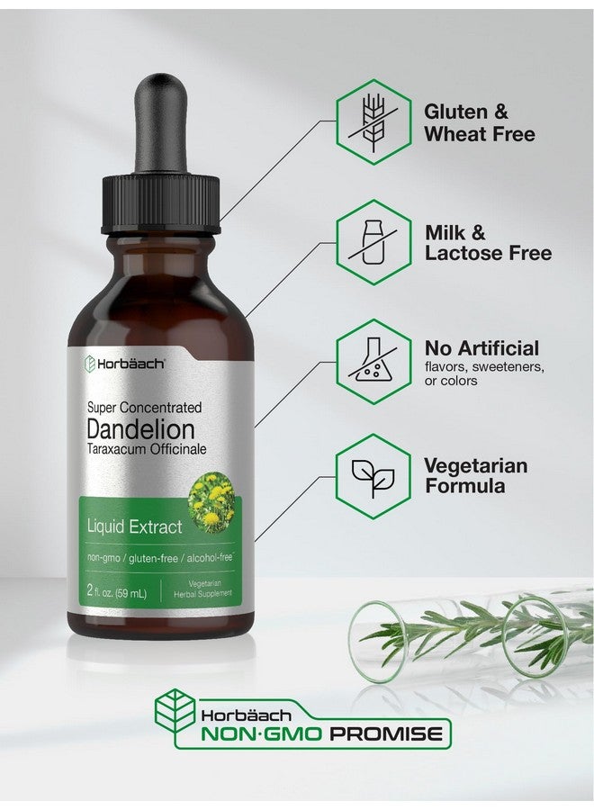 Horbäach Dandelion Root Extract | 2 fl oz | Super Concentrated | Alcohol Free Liquid Tincture | Vegetarian, Non-GMO, Gluten Free - Image 4