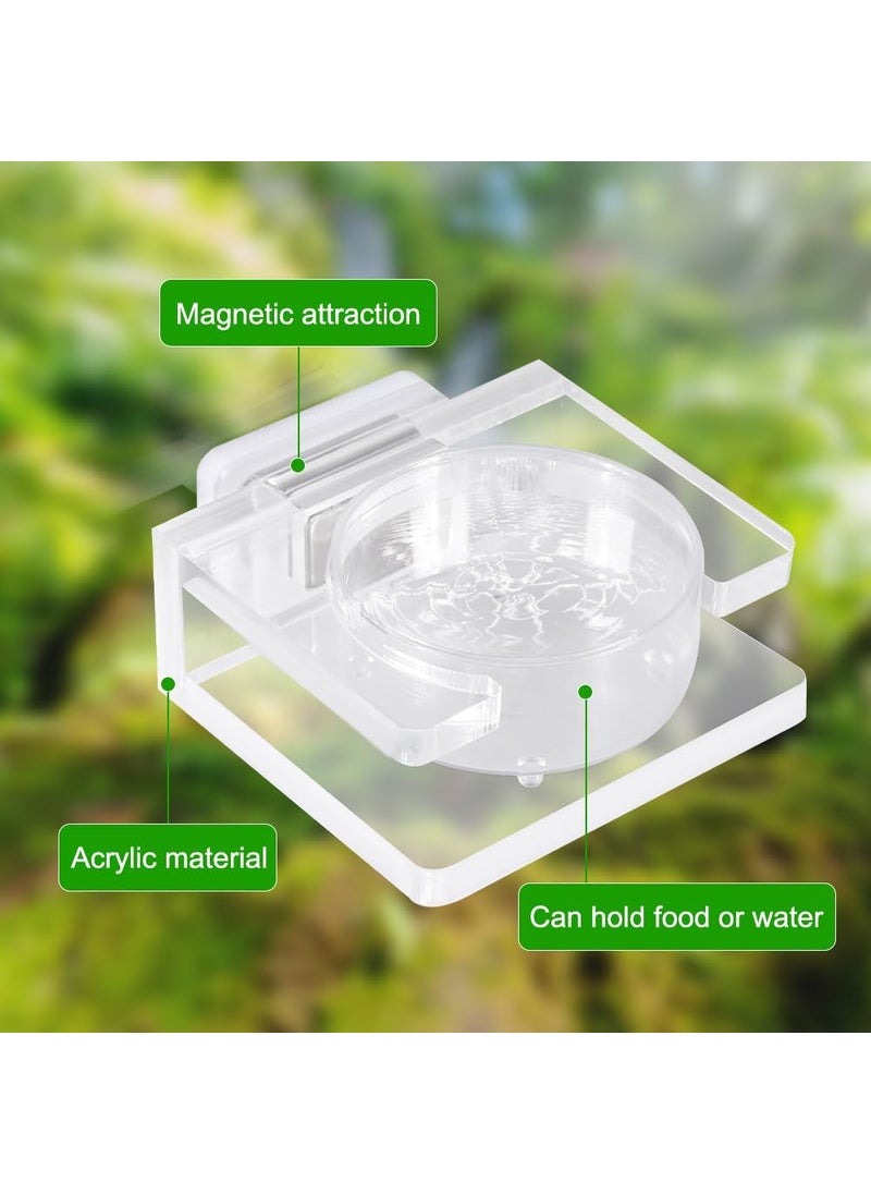 MiOYOOW Jumping Spider Feeder Mini Magnetic Spider Feeding Dish Transparent Acrylic Food Bowl Water Dish for Small Reptiles Spider Tarantula Scorpion Hermit Crab Larvae Mini Geckon  - Image 2