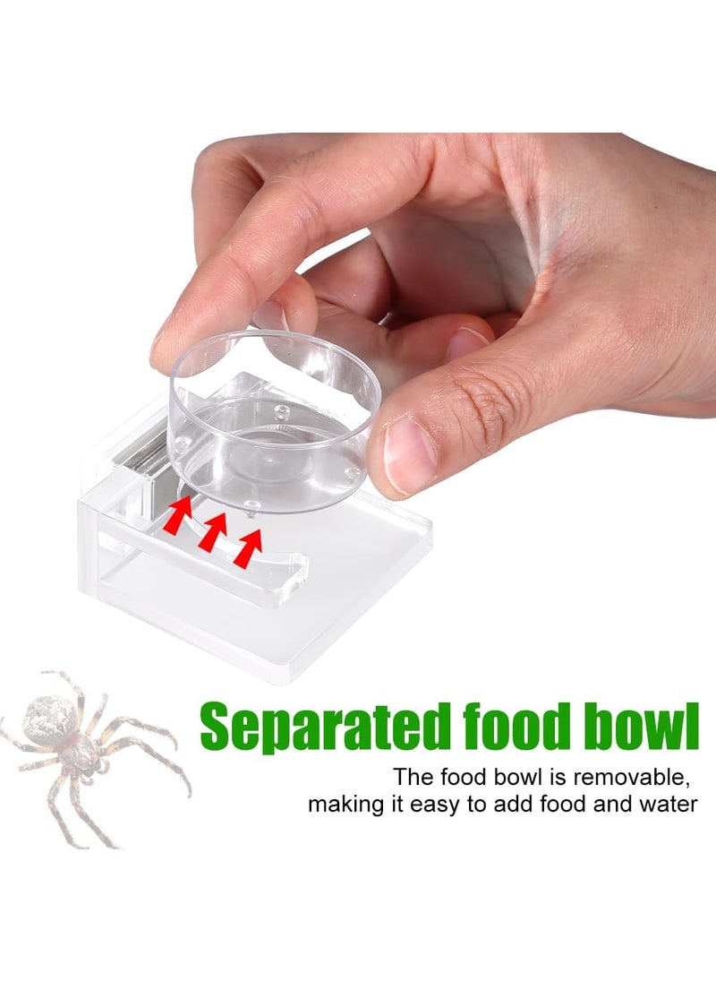 MiOYOOW Jumping Spider Feeder Mini Magnetic Spider Feeding Dish Transparent Acrylic Food Bowl Water Dish for Small Reptiles Spider Tarantula Scorpion Hermit Crab Larvae Mini Geckon  - Image 5