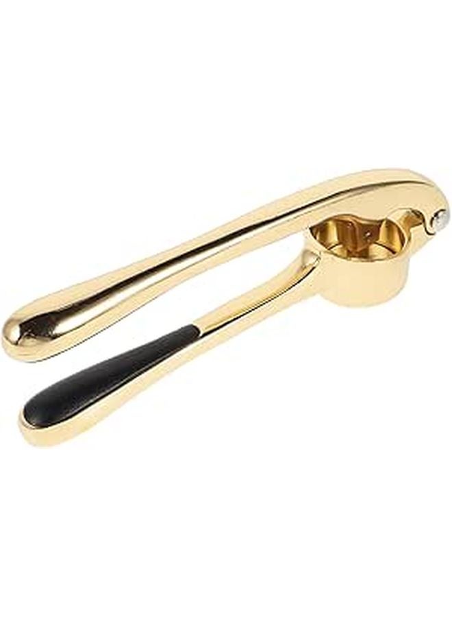 Zinc Alloy Garlic Press Manual Mincer Handheld Squeezer Kitchen Tool For Home And RV Golden - Image 1