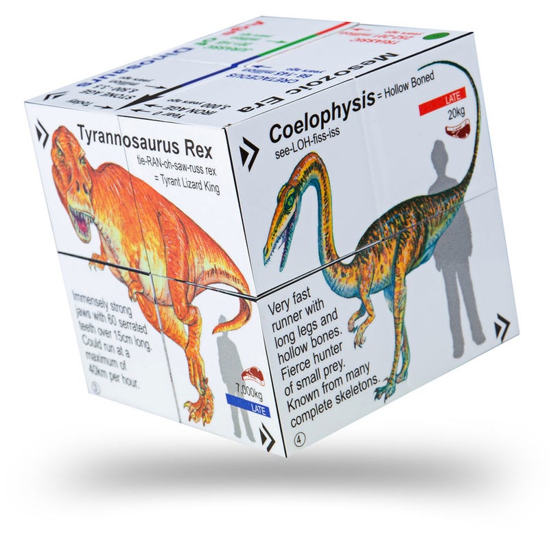 BIGJIGS Dinosaurs Zcc5010