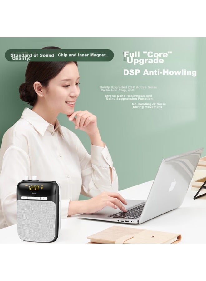 SOAIY S318 Portable Amplifier For Teachers, Usb Flash Drive, Tf Card, Microphone, Loudspeaker, Anti-howling, Tour Guide, Bluetooth Speaker, Outdoor Teaching, Lecturing, Type-c Gold - Image 2