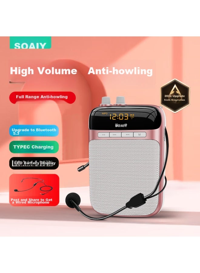 SOAIY S318 Portable Amplifier For Teachers, Usb Flash Drive, Tf Card, Microphone, Loudspeaker, Anti-howling, Tour Guide, Bluetooth Speaker, Outdoor Teaching, Lecturing, Type-c Gold - Image 1