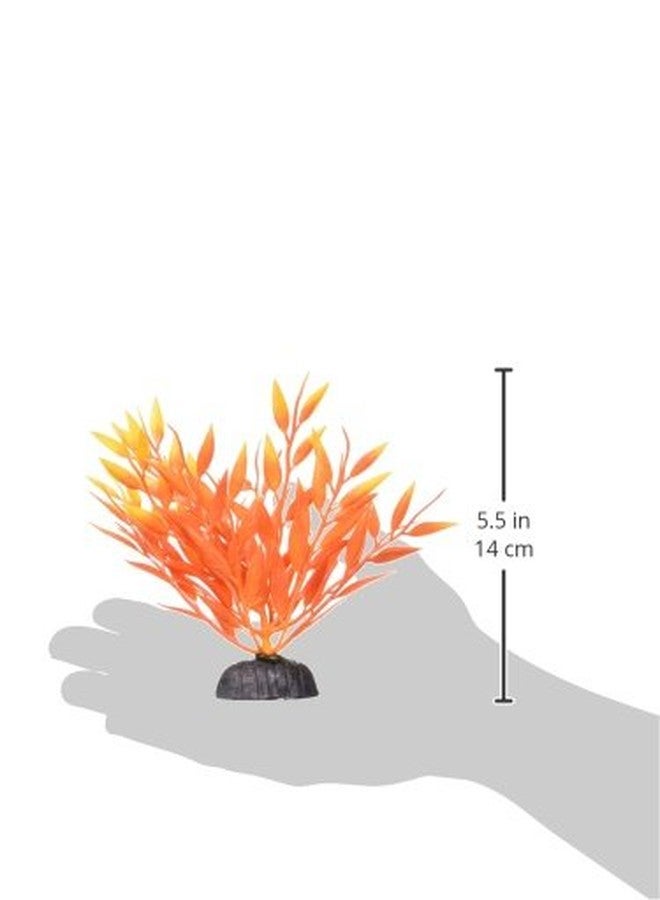 Marina Betta Fire Grass Plastic Plant, 5-Inch - Image 4