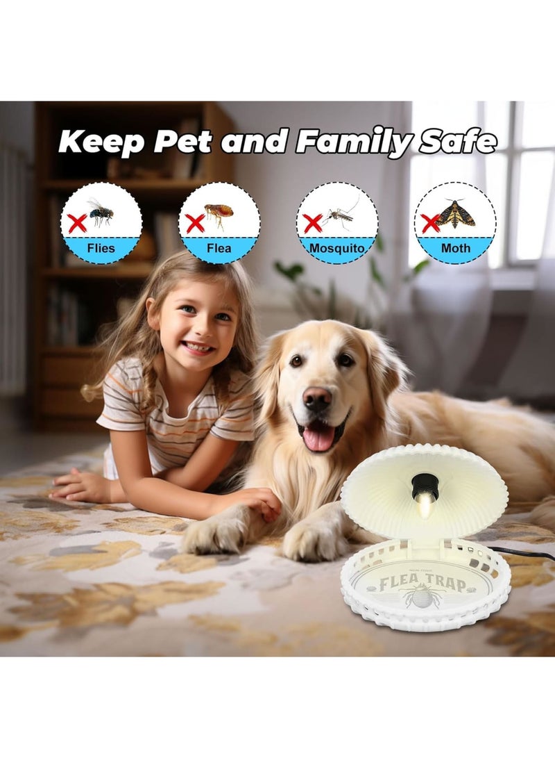 SOLARAE Flea Traps for Home, 2 Pcs Electric Flea Light with 4 Light Bulbs and 4 Sticky Discs, Odorless Non-Toxic Dome Flea Trap, Effective Flea Trap for Gnat, Moth, Safe for Children and Pets, White - Image 2