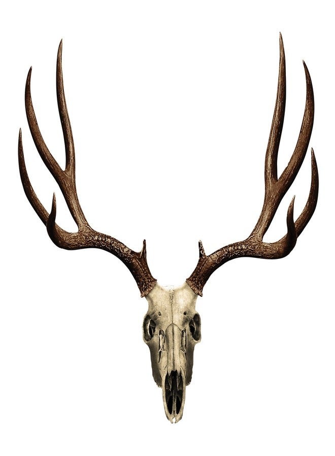 Mossy Oak Graphics Animal Decal, Easy to Install, No-fade, Cast Vinyl, Brown Mule Deer 13021-S-MD - Image 2