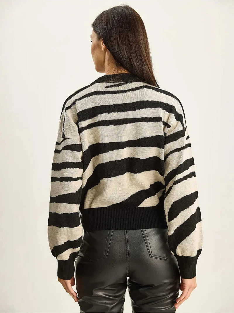 Bianco Lucci Multicolor LUCCI Thick Knit Zebra Print Crew Neck Sweater for Women | Best Price UAE