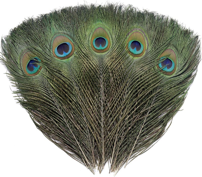 Ballinger 12 PCS Real Natural Peacock Eye Feathers 10-12 inch for DIY Craft, Wedding and Holiday Decorations - Image 1