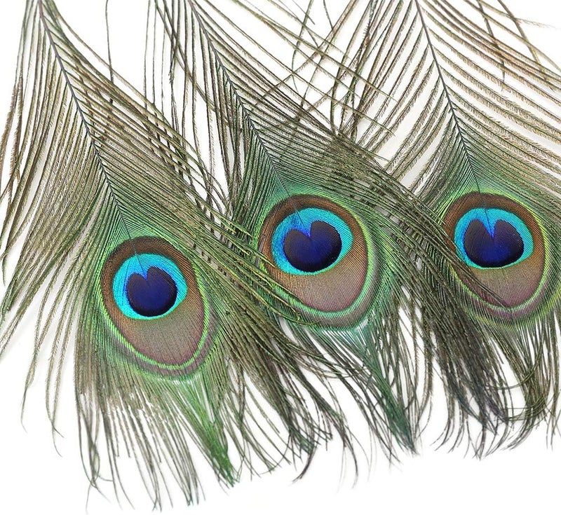Ballinger 12 PCS Real Natural Peacock Eye Feathers 10-12 inch for DIY Craft, Wedding and Holiday Decorations - Image 3