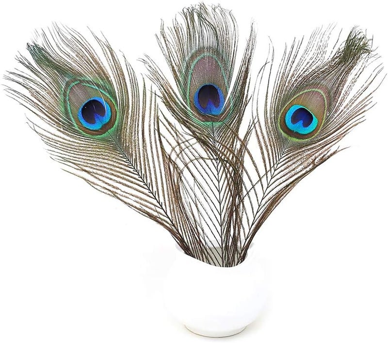 Ballinger 12 PCS Real Natural Peacock Eye Feathers 10-12 inch for DIY Craft, Wedding and Holiday Decorations - Image 5