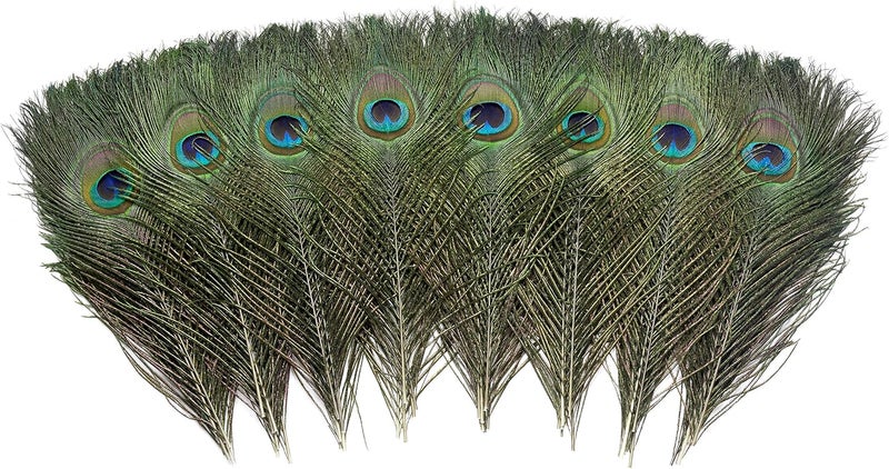 Ballinger 12 PCS Real Natural Peacock Eye Feathers 10-12 inch for DIY Craft, Wedding and Holiday Decorations - Image 2