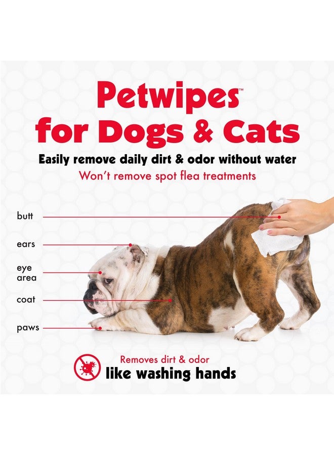 بيتكين مناديل بيتكين للحيوانات الأليفة للكلاب والقطط، 100 منديل كبير - تزيل الأوساخ والروائح مثل غسل اليدين - تنظف الأذنين والوجه والأرداف ومنطقة العين - مريحة ومثالية للمنزل أو السفر - عبوة واحدة من 100 منديل - Image 3