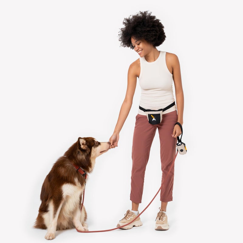 OllyDog Goodie Treat Bag, Dog Treat Pouch, Waist Belt Clip for Hands-Free Training, Magnetic Closure, Dog Training and Behavior Aids, Three Ways to Wear (Con Leche) - Image 4