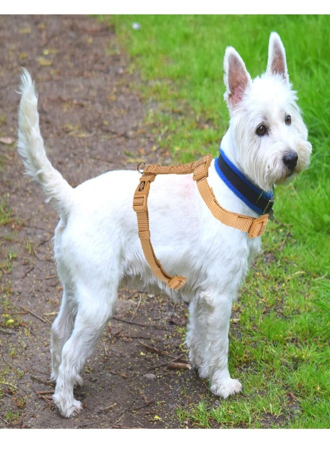 Trixie Premium Touring Harness for Dogs Made with Fleece Padding, Adjustable, and Lightweight Strong D-Ring Keeps The Harness and Leash in Place (L-XL, Caramel) - Image 5