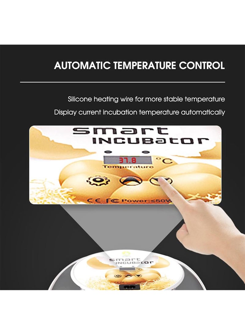 عام حاضنة البيض مع وظيفة التحكم في درجة الحرارة التلقائي تحويل البيض - Image 2