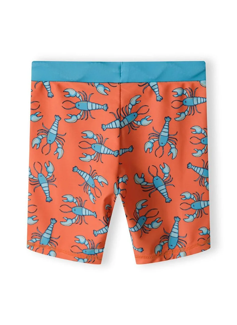MINOTI 2-Piece Kids' Swim Set with Short Sleeve Rashguard and Swim Shorts