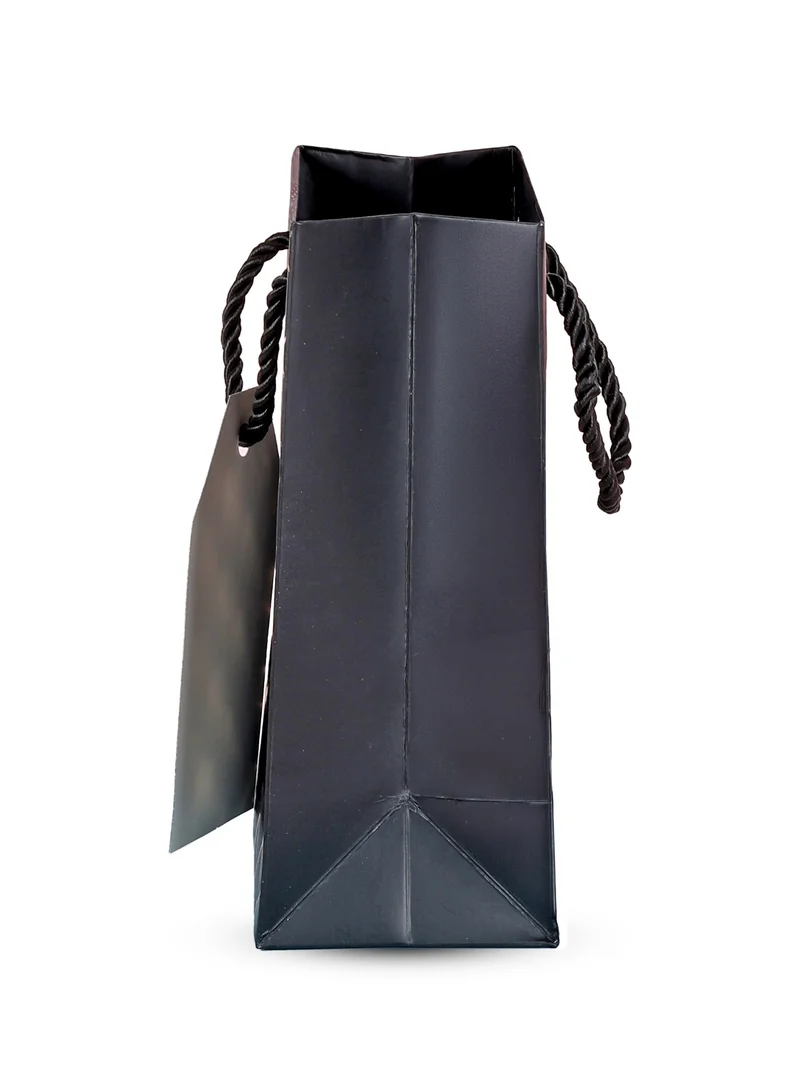 Share the Love Luxury Black Paper Gift Bag – Small Size with Foil Design, Premium Quality Present Bag with Handles, Perfect for Birthday, Wedding, Anniversary & Special Occasions