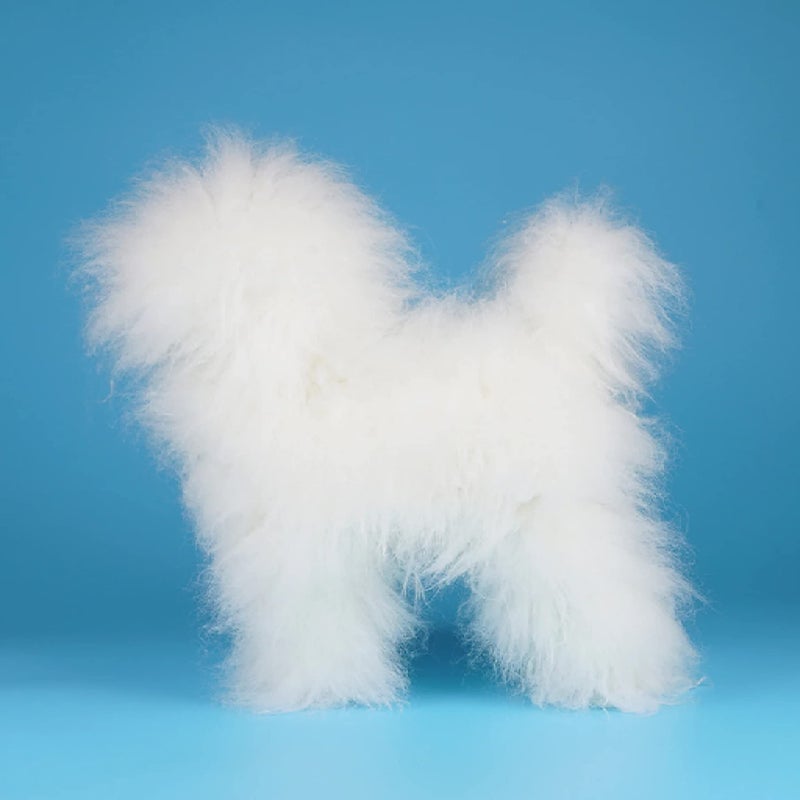 OPAWZ High-Density Toy Poodle Whole Body Dog Wig- White, Made of Soft & Smooth Synthetic Fibre Material, for Groomer Trimming Practice, Realistic Look Hair Length 8-10 cm - Image 2