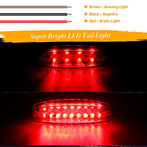 QUASCO Universal 12V Tail Light ATV Taillight Brake Lights Compatible with Yamaha Honda Suzuki 50cc 70cc 90cc 110cc 125cc Tao Tao Scooter Motorcycle - Image 2