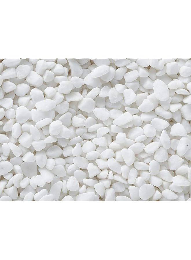 حصى صغيرة - 1 كجم (أبيض)