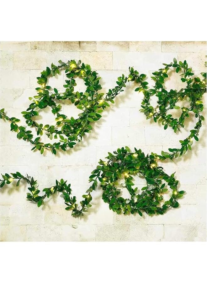 إيروريكس سلسلة أضواء الروطان الخارجية 10 أمتار 100 مصباح ليد من الكرمة تعمل بالبطارية صندوق إضاءة أوراق اللبلاب الخضراء للاستخدام الداخلي والخارجي في حفلات الزفاف والحديقة