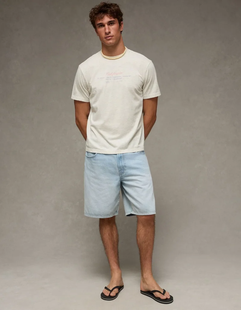 American Eagle  AE Standard Fit Destination Graphic T-Shirt  | Best Price UAE