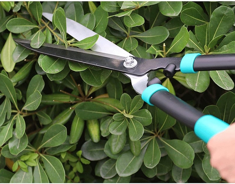 OIUQWWS Garden Hedge Shears Gardening Tools, Trimming Shaping Borders Decorative Shrubs Bushes Hedge Clippers Shears 24 Inch Carbon Steel Bush Cutter - Image 2