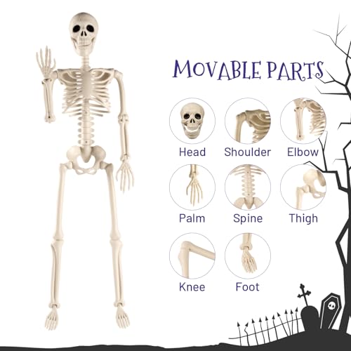Toolterritary 36" Halloween Skeleton, 3 ft Human Skeleton Full Body Posable Joints Plastic Skeleton for Halloween Decoration, Yard Patio Lawn Garden Skeleton Spooky Party Decoration Indoor Outdoor - Image 4