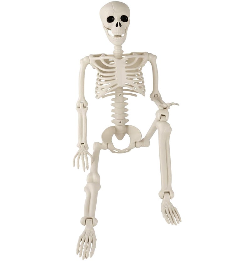 Toolterritary 36" Halloween Skeleton, 3 ft Human Skeleton Full Body Posable Joints Plastic Skeleton for Halloween Decoration, Yard Patio Lawn Garden Skeleton Spooky Party Decoration Indoor Outdoor - Image 1