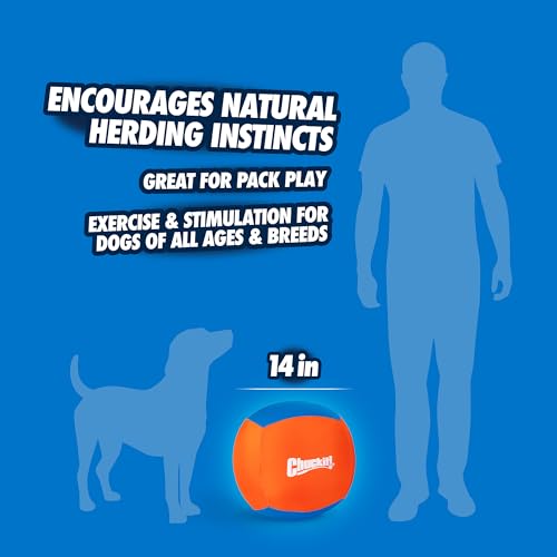 Chuckit! Big Air Fetch Ball Dog Toy (14 Inch) Herding Instincts Dog Toy, for Interactive, Non-Chewing Activities, for All Breeds, Inflating Pump Included - Image 4