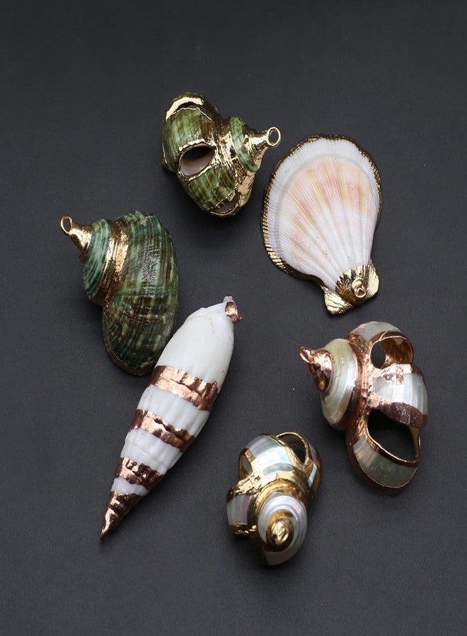 Zotoone 20pcs Natural Pendants - Spiral, Conch, Cowrie, Sea Shells Charms for Nautical, Ocean, Summer Jewelry Craft Making - Image 2