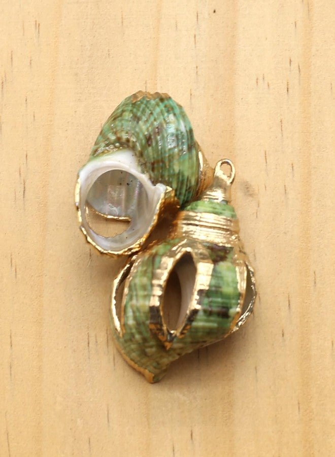 Zotoone 20pcs Natural Pendants - Spiral, Conch, Cowrie, Sea Shells Charms for Nautical, Ocean, Summer Jewelry Craft Making - Image 3