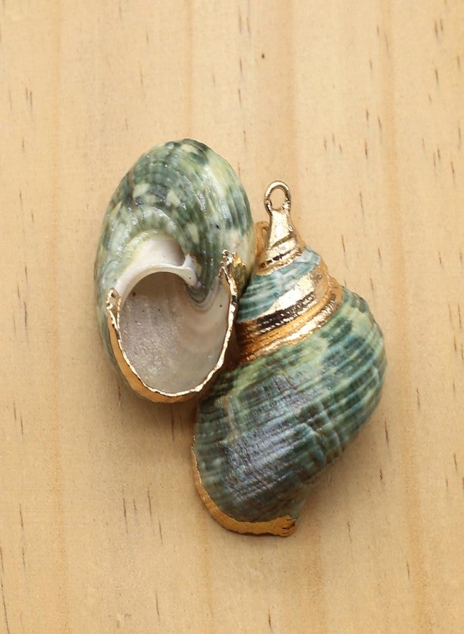 Zotoone 20pcs Natural Pendants - Spiral, Conch, Cowrie, Sea Shells Charms for Nautical, Ocean, Summer Jewelry Craft Making - Image 4