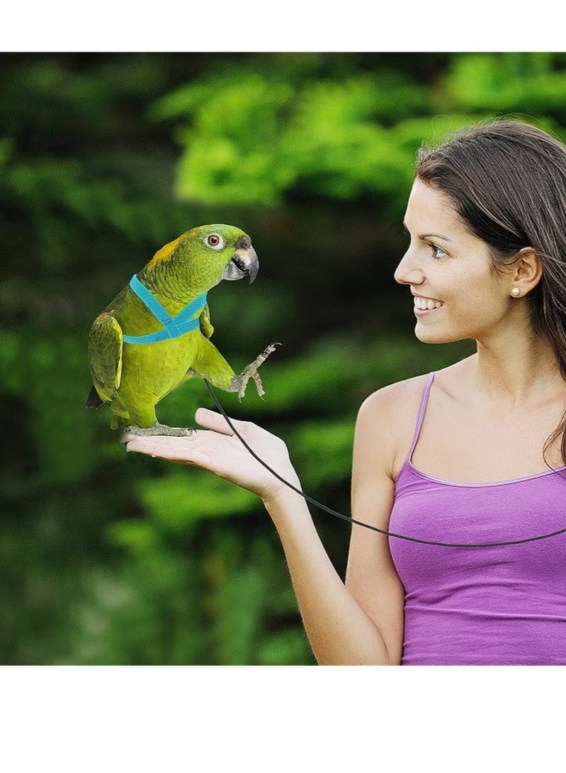 Bird Training Mat, Adjustable Parrot Flight Rope Universal Flight Traction Rope Durable Outdoor Small Tool, Bird Nylon Rope with Adorable Parrot Wings, Suitable for Outdoor Training Toys of Birds, Parrots, And Long Tailed Parrots（ Blue） - Image 4