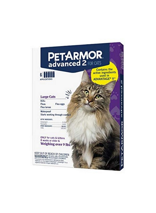 PetArmor Advanced 2 Flea Prevention For Large Cats, 6 Month Supply  - Image 1