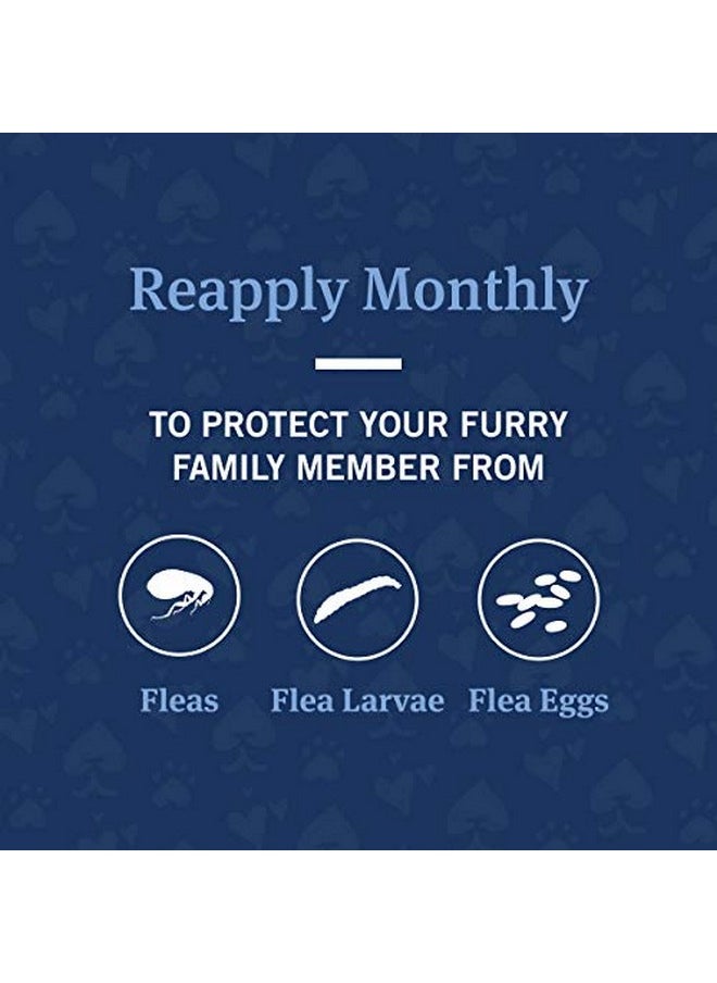 PetArmor Advanced 2 Flea Prevention For Large Cats, 6 Month Supply  - Image 4
