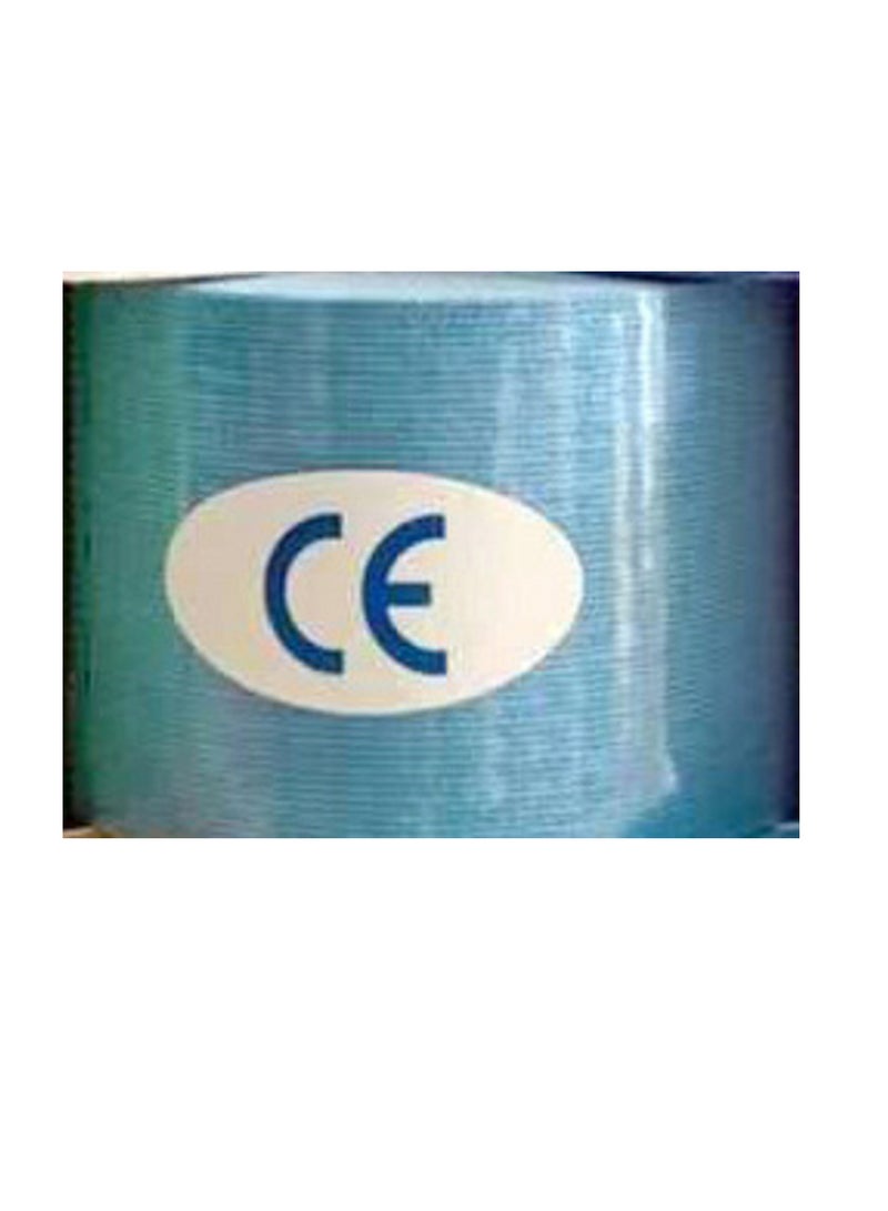 Loquat Squality Intramuscular Patch Or Exercise Tape Muscle Patch Elastic Patch Chest Patch (single roll color box)  - Image 2