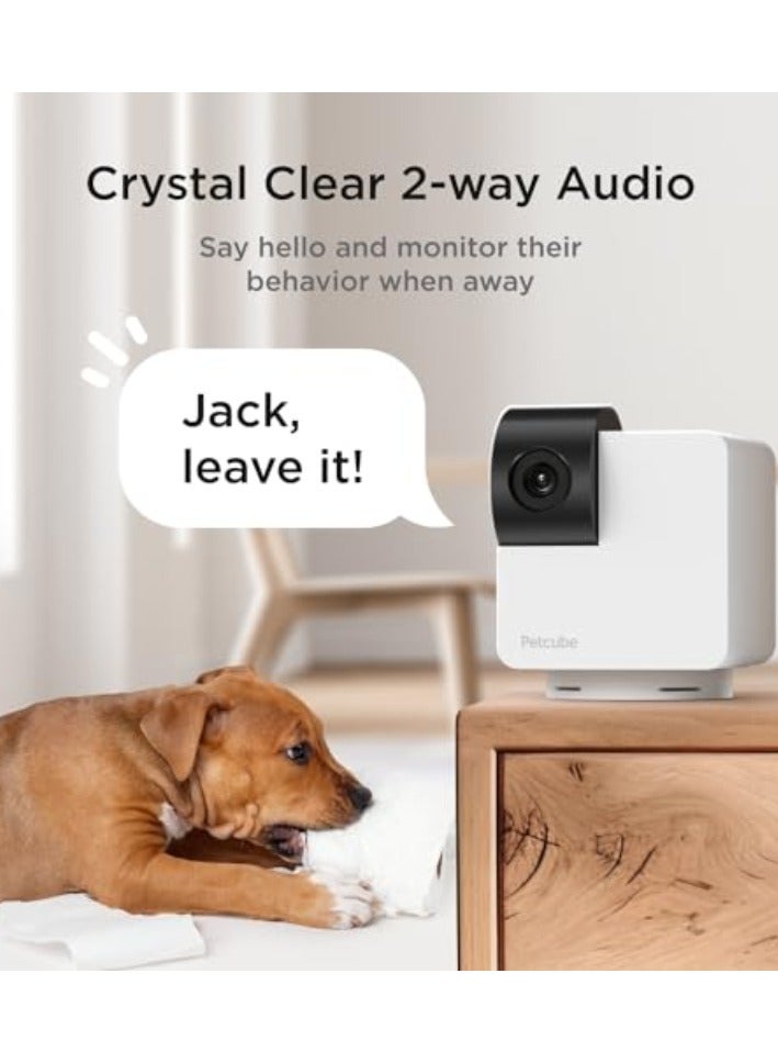 Petcube Cam 360 | AI-Powered Smart HD Pet Camera , 350° Pan, 55° Tilt, 105° View, 2-way Audio - See, Talk w/ Pet from Anywhere, Night Vison, Easy Set-up, Alexa, Android & iOS Compatible - White - Image 4