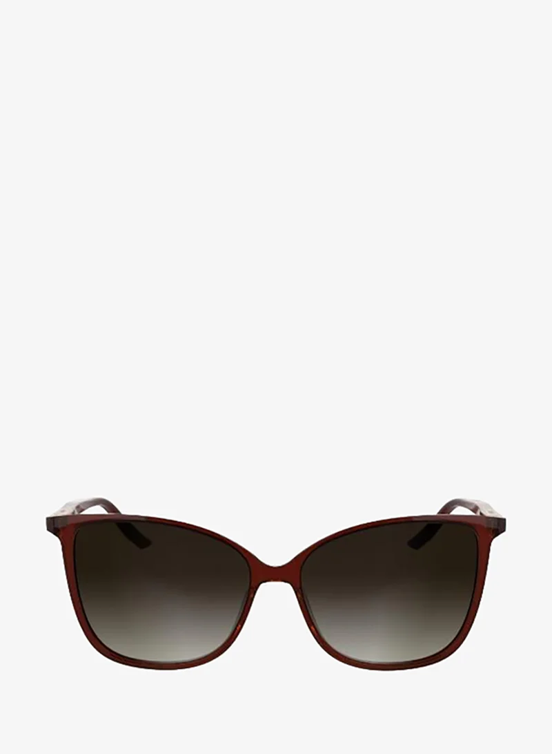 CALVIN KLEIN Butterfly Sunglasses