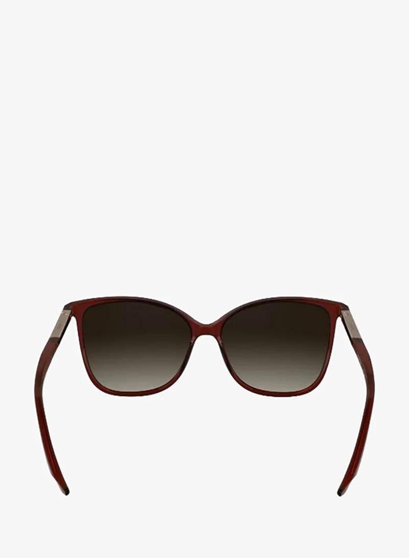CALVIN KLEIN Butterfly Sunglasses
