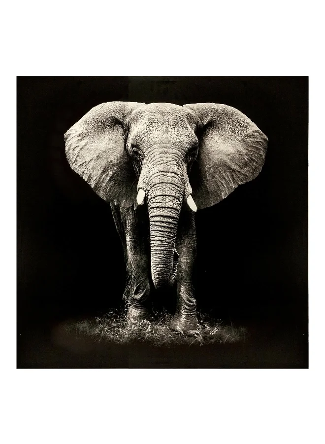 atmosphera Wall Mounted Decorative Easy-Hanging Elephant Print Canvas Frame Black and Grey 100 x 100 cm 158209