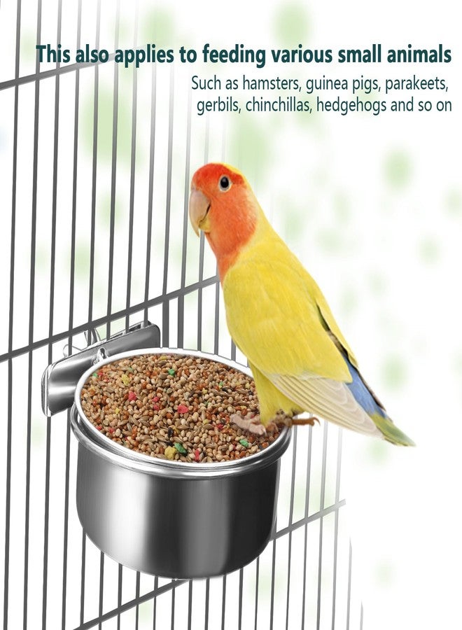 BCHARYA 2 Pack Stainless Steel Bird Food Bowls with Clamp - Rust Proof Metal Feeding Cups for Parrot Cage, Easy Clean Water Dish for Cockatiel Conure Budgie Parakeet Small Animal (3.9 Inch, Silver) - Image 4