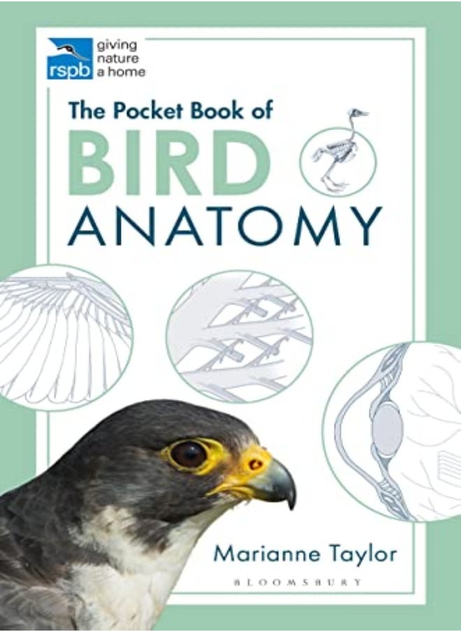 The Pocket Book of Bird Anatomy 