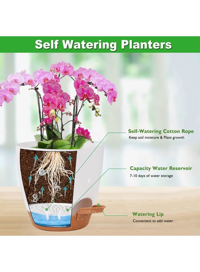 Vanslogreen 6 Inch Orchid Pots with Holes, 3 Pack Self Watering Planters for Orchids Plastic Orchid Pot Plant Flower Pots for Orchids Indoor Outdoor (Multicolor) - Image 3