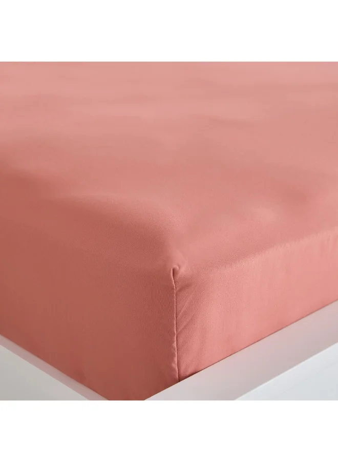 Home Box Derby Solid Microfiber Olympic Queen Fitted Sheet 160 X 200 X 25 Cm