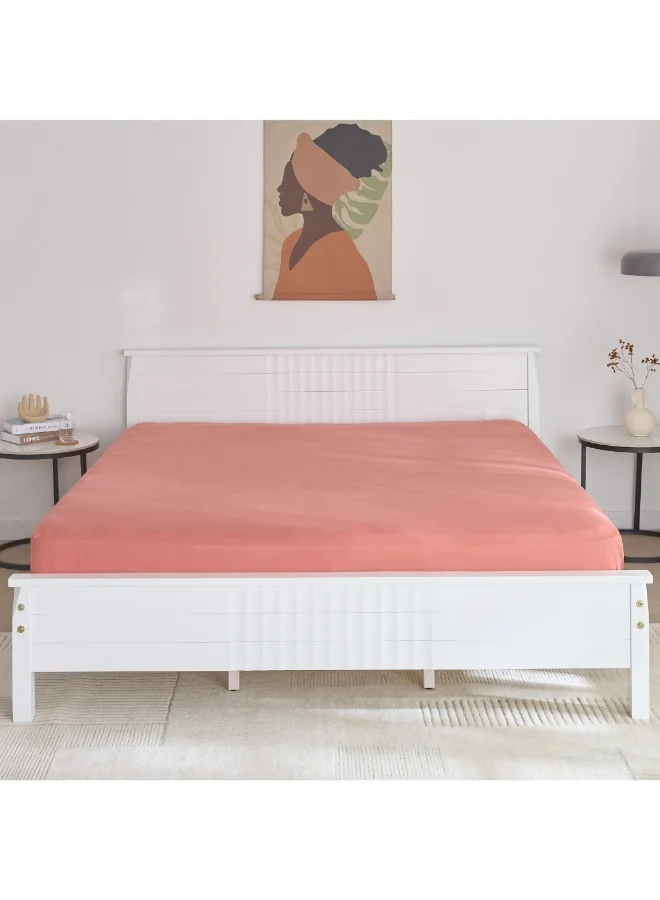 Home Box Derby Solid Microfiber Olympic Queen Fitted Sheet 160 X 200 X 25 Cm