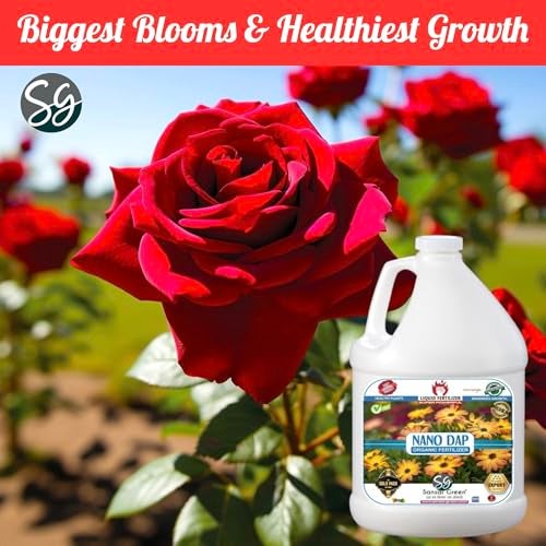 Sansar Green® Nano DAP Organic Liquid Fertilizer for overall Growth of Plants. (1000 ml) - Image 4