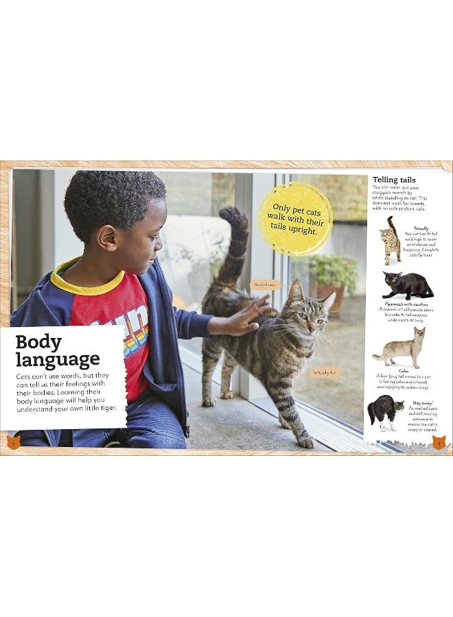 My Book of Cats and Kittens: A Fact-Filled Guide to Your Feline Friends - Image 4