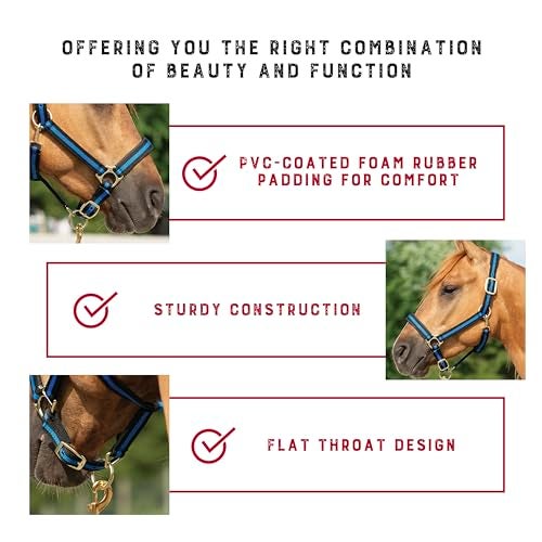 Weaver Equine Weaver Leather Nylon Horse Halter, Padded and Adjustable, Chin and Throat Snap Hook Halters for Horses, Brass Plated Halters for Training - Image 5