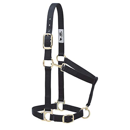 Weaver Equine Weaver Leather Nylon Horse Halter, Padded and Adjustable, Chin and Throat Snap Hook Halters for Horses, Brass Plated Halters for Training - Image 1